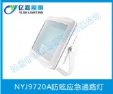 NYJ9720A防眩應(yīng)急通路燈