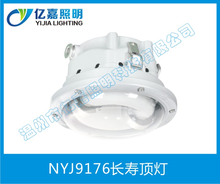NYJ9176長(zhǎng)壽頂燈