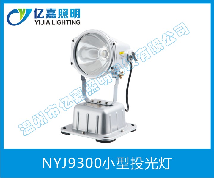 NYJ9300小型投光燈